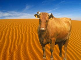 tonwertkorrektur rot