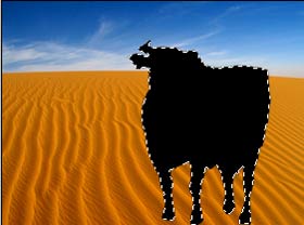 tonwertkorrektur gr�n